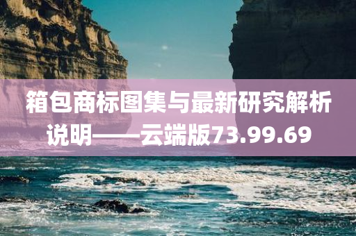 箱包商标图集与最新研究解析说明——云端版73.99.69