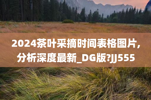 2024茶叶采摘时间表格图片,分析深度最新_DG版?JJ555