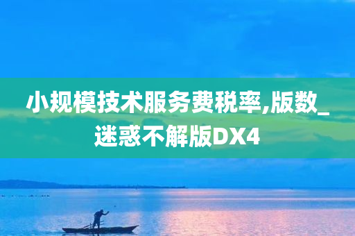 小规模技术服务费税率,版数_迷惑不解版DX4