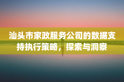 汕头市家政服务公司的数据支持执行策略，探索与洞察