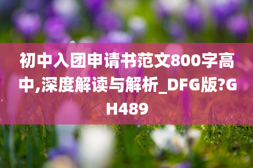 初中入团申请书范文800字高中,深度解读与解析_DFG版?GH489