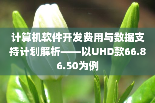 计算机软件开发费用与数据支持计划解析——以UHD款66.86.50为例