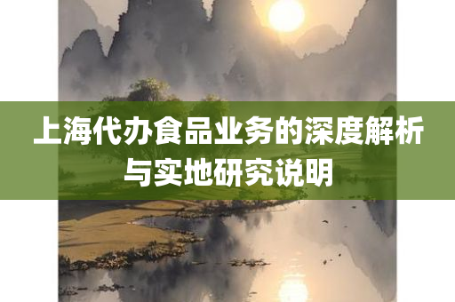 上海代办食品业务的深度解析与实地研究说明