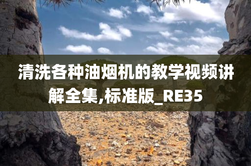 清洗各种油烟机的教学视频讲解全集,标准版_RE35