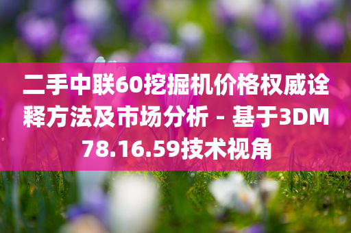 二手中联60挖掘机价格权威诠释方法及市场分析 - 基于3DM78.16.59技术视角