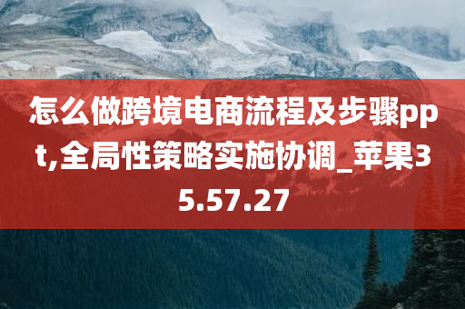 怎么做跨境电商流程及步骤ppt,全局性策略实施协调_苹果35.57.27