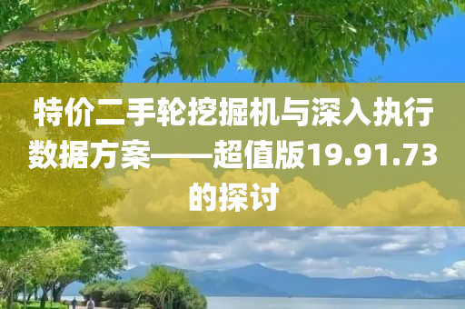 特价二手轮挖掘机与深入执行数据方案——超值版19.91.73的探讨