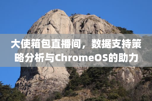 大使箱包直播间，数据支持策略分析与ChromeOS的助力