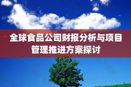 全球食品公司财报分析与项目管理推进方案探讨