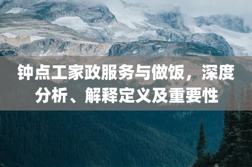 钟点工家政服务与做饭，深度分析、解释定义及重要性