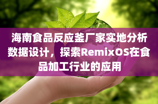 海南食品反应釜厂家实地分析数据设计，探索RemixOS在食品加工行业的应用