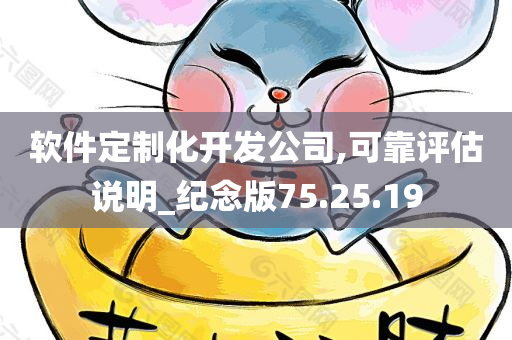 软件定制化开发公司,可靠评估说明_纪念版75.25.19