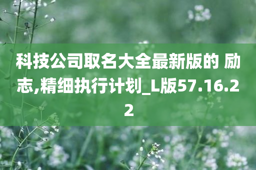 科技公司取名大全最新版的 励志,精细执行计划_L版57.16.22