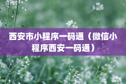 西安市小程序一码通（微信小程序西安一码通）