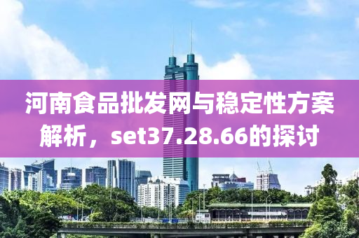 河南食品批发网与稳定性方案解析，set37.28.66的探讨