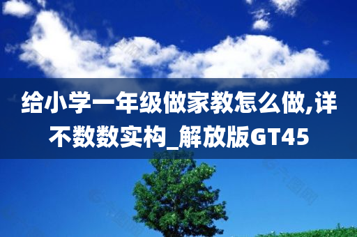 给小学一年级做家教怎么做,详不数数实构_解放版GT45