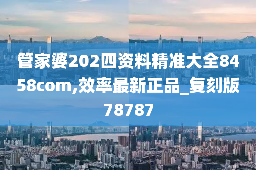 管家婆202四资料精准大全8458com,效率最新正品_复刻版78787