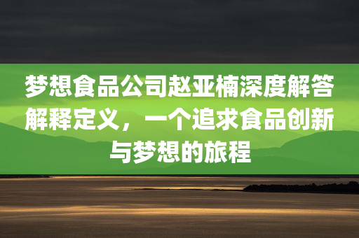 梦想食品公司赵亚楠深度解答解释定义，一个追求食品创新与梦想的旅程