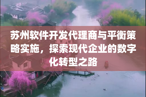 苏州软件开发代理商与平衡策略实施，探索现代企业的数字化转型之路