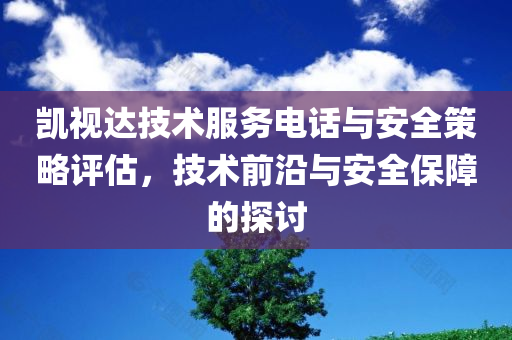 凯视达技术服务电话与安全策略评估，技术前沿与安全保障的探讨