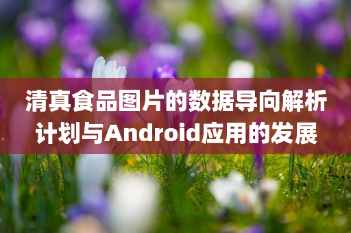 清真食品图片的数据导向解析计划与Android应用的发展