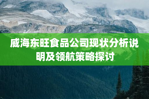 威海东旺食品公司现状分析说明及领航策略探讨