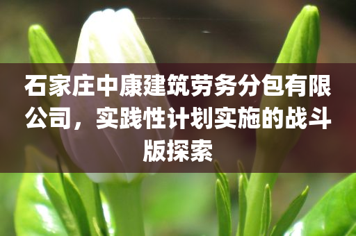 石家庄中康建筑劳务分包有限公司，实践性计划实施的战斗版探索