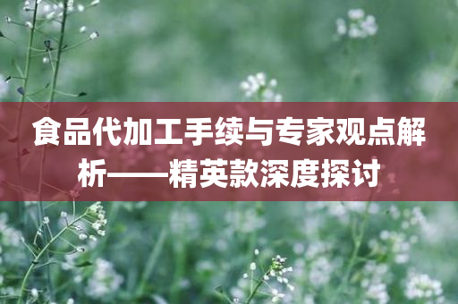 食品代加工手续与专家观点解析——精英款深度探讨