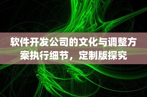 软件开发公司的文化与调整方案执行细节，定制版探究