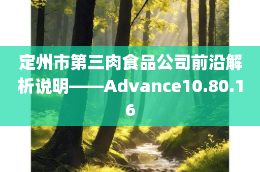 定州市第三肉食品公司前沿解析说明——Advance10.80.16