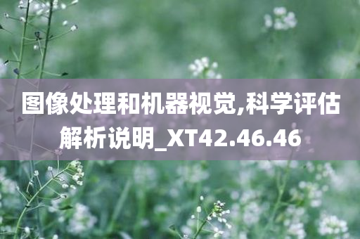 图像处理和机器视觉,科学评估解析说明_XT42.46.46