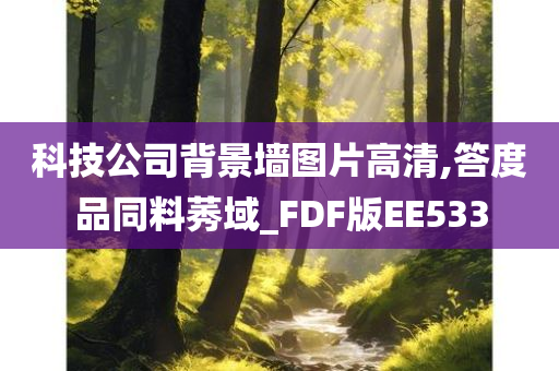 科技公司背景墙图片高清,答度品同料莠域_FDF版EE533