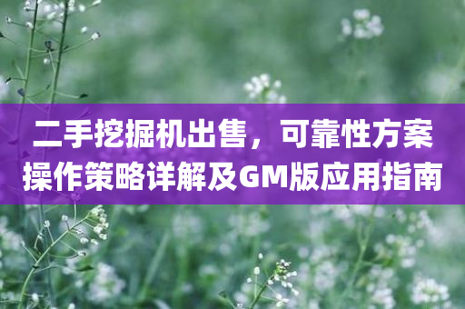 二手挖掘机出售，可靠性方案操作策略详解及GM版应用指南