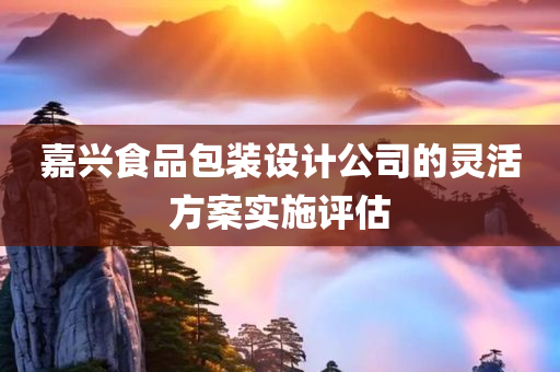 嘉兴食品包装设计公司的灵活方案实施评估