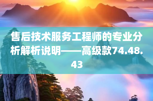 售后技术服务工程师的专业分析解析说明——高级款74.48.43