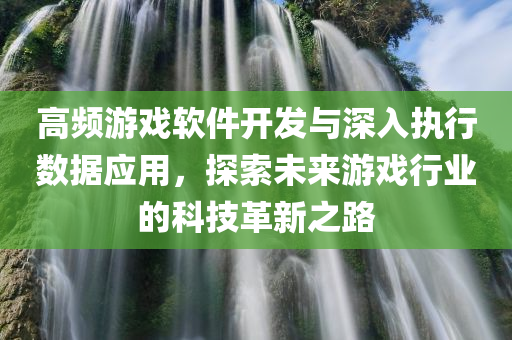 高频游戏软件开发与深入执行数据应用，探索未来游戏行业的科技革新之路