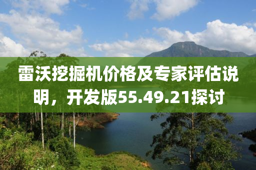 雷沃挖掘机价格及专家评估说明，开发版55.49.21探讨