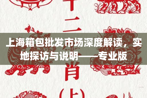 上海箱包批发市场深度解读，实地探访与说明——专业版