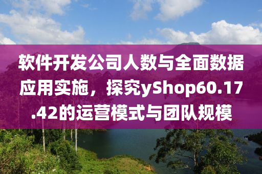 软件开发公司人数与全面数据应用实施，探究yShop60.17.42的运营模式与团队规模