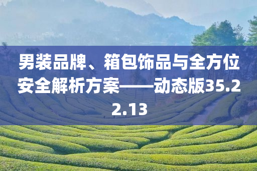 男装品牌、箱包饰品与全方位安全解析方案——动态版35.22.13