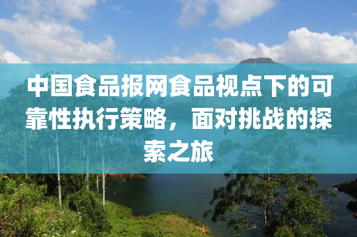 中国食品报网食品视点下的可靠性执行策略，面对挑战的探索之旅