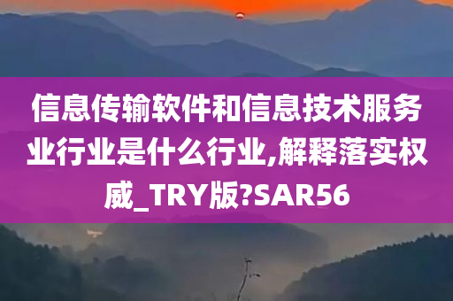 信息传输软件和信息技术服务业行业是什么行业,解释落实权威_TRY版?SAR56