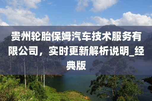 贵州轮胎保姆汽车技术服务有限公司，实时更新解析说明_经典版