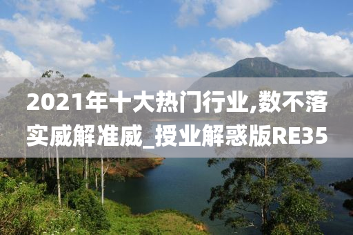 2021年十大热门行业,数不落实威解准威_授业解惑版RE35