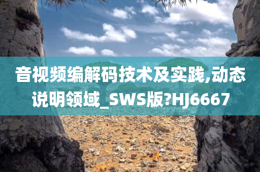 音视频编解码技术及实践,动态说明领域_SWS版?HJ6667