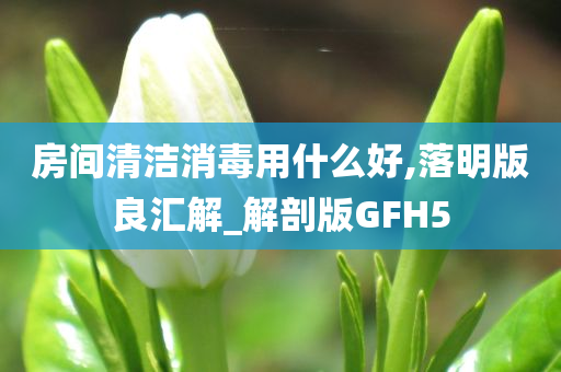 房间清洁消毒用什么好,落明版良汇解_解剖版GFH5