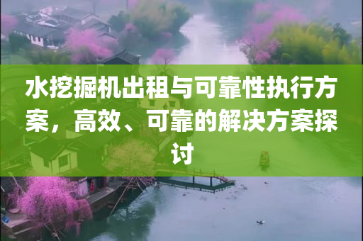 水挖掘机出租与可靠性执行方案，高效、可靠的解决方案探讨