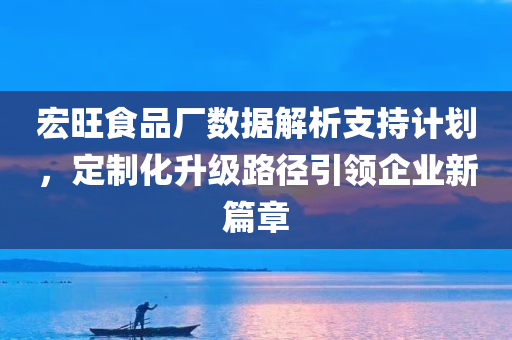 宏旺食品厂数据解析支持计划，定制化升级路径引领企业新篇章