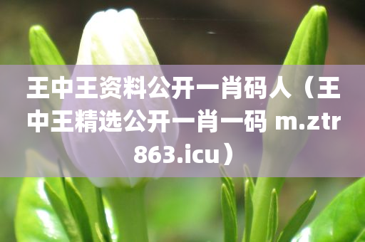 王中王资料公开一肖码人（王中王精选公开一肖一码 m.ztr863.icu）