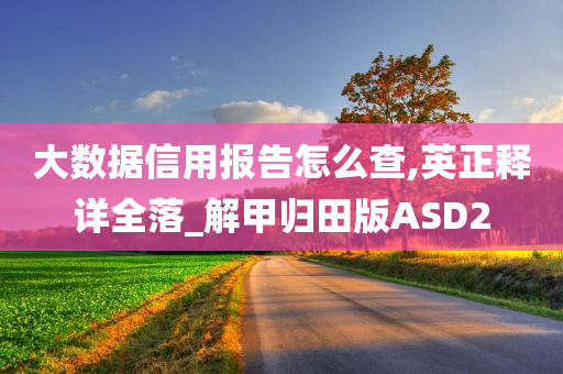 大数据信用报告怎么查,英正释详全落_解甲归田版ASD2